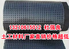 山东土工膜土工膜厂家价格超低
